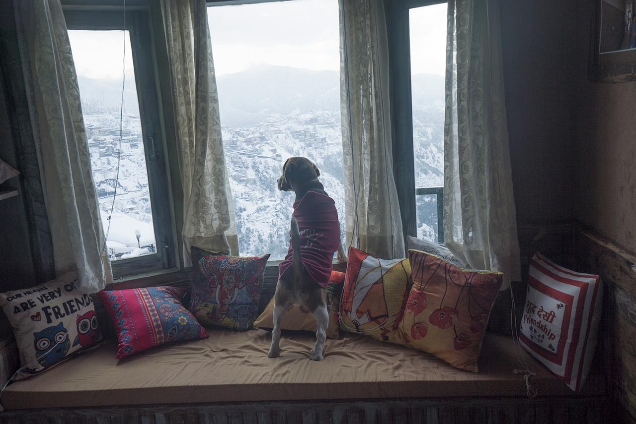 Meena Bagh Shimla Eksteriør bilde