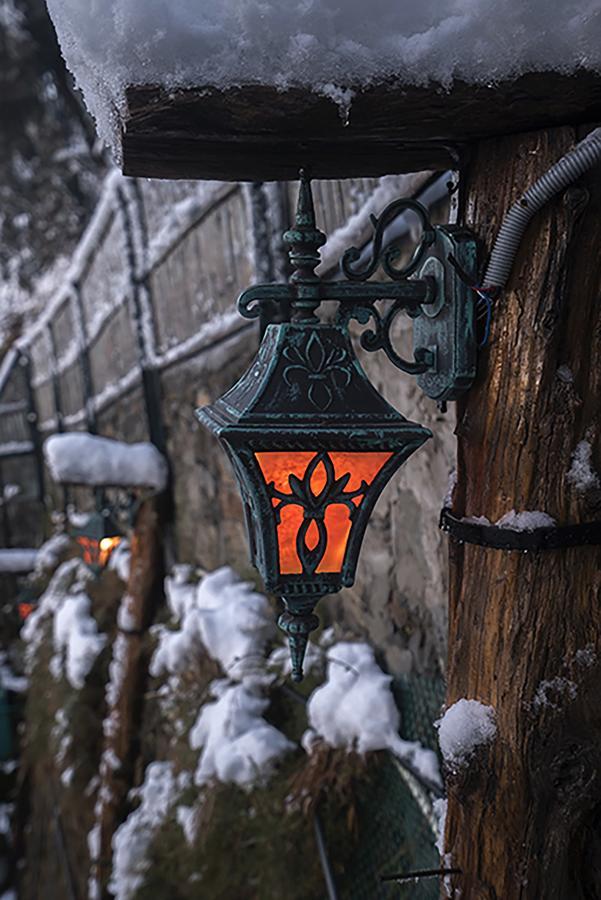 Meena Bagh Shimla Eksteriør bilde